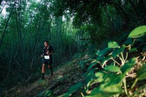 BIB: 
                            <button type="button" onclick="openModal(28124343)" class="btn btn-primary btn-sm float-right btn-popup" data-toggle="modal" data-target=".modal-high-quality">
                        <i class="fas fa-shopping-cart"></i> Add to Cart
                    </button>
                                            <button type="button" onclick="isThisMe(28124343, true)" class="btn btn-success btn-sm float-right btn-popup btn-isme hidden" data-toggle="tooltip" data-placement="bottom" title="นี่คือรูปของคุณใช่ไหม คลิกที่นี่เพื่อเอาเข้าอัลบั้ม">
                        <i class="fas fa-plus"></i> Add to album
                    </button>
                    <button type="button" onclick="isThisMe(28124343, false)" class="btn btn-warning btn-sm float-right btn-popup btn-isnotme hidden">
                        <i class="fas fa-ban"></i> Remove from album
                    </button>